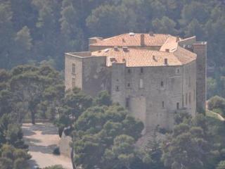 Chateau De Meyrargues Buitenkant foto